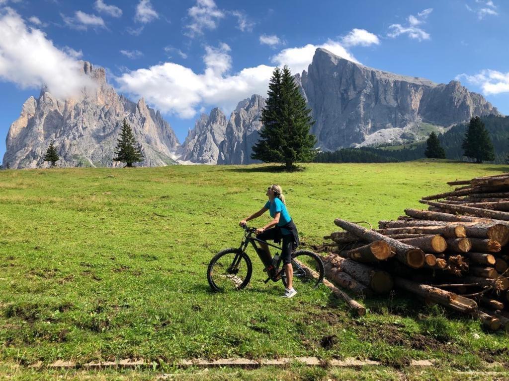 Garni Hotel Mezdi Selva di Val Gardena Zewnętrze zdjęcie